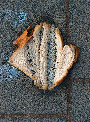 brot