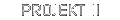projekt2