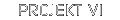projekt6